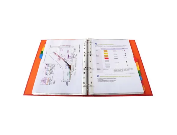 EXACOMPTA Intercalaires en carton, A4 Maxi, 12 touches — Classement & archivage — vue 5