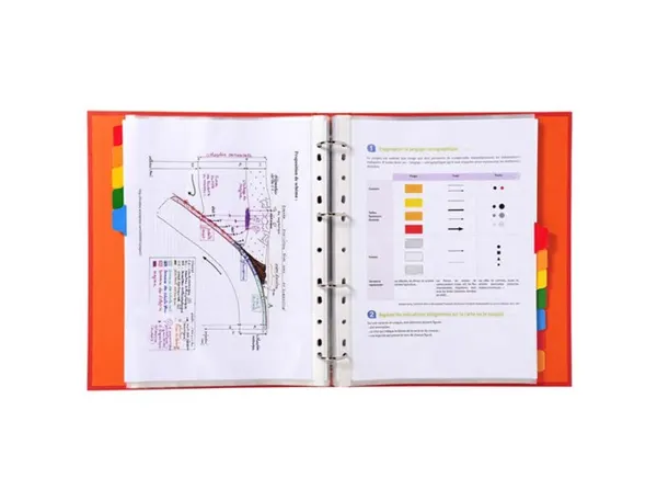 EXACOMPTA Intercalaires en carton, A4 Maxi, 12 touches — Classement & archivage — vue 6