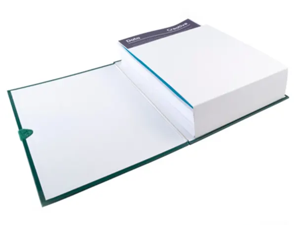 EXACOMPTA Chemise à dos extensible Balacron, vert foncé — Classement & archivage — vue 4