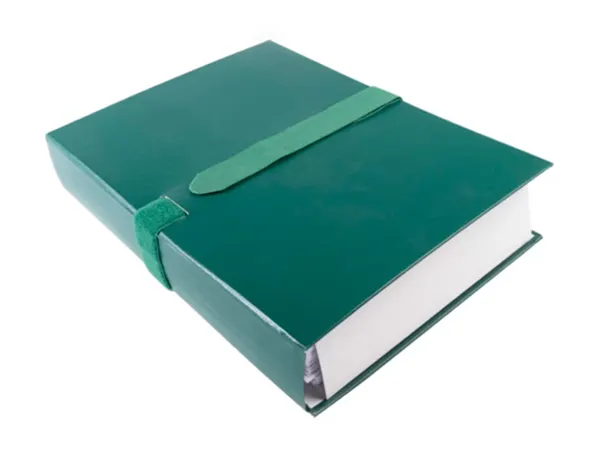 EXACOMPTA Chemise à dos extensible Balacron, vert foncé — Classement & archivage — vue 5
