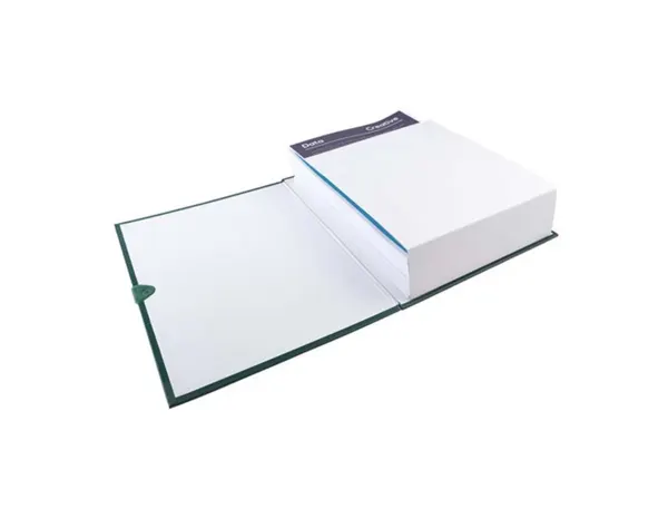 EXACOMPTA Chemise à dos extensible Balacron, vert foncé — Classement & archivage — vue 7