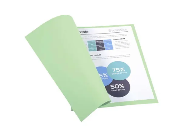 Chemise Exacompta Forever Carte Recyclée 220g A4 24x32 cm Coloris Vert Pré Paquet 100 Unités — Classement & archivage — vue 5