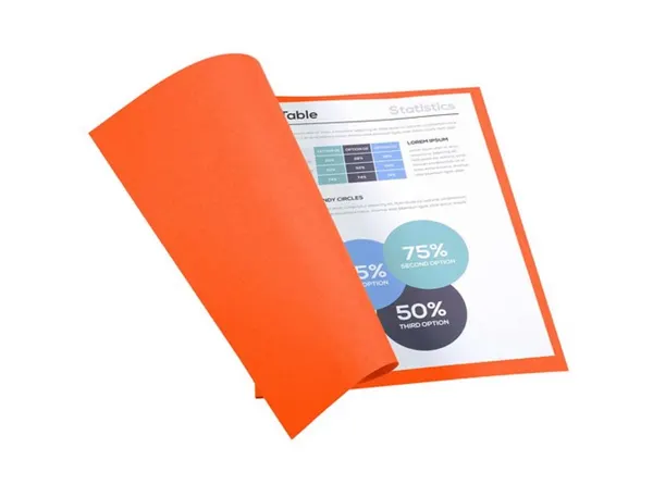 Chemise Exacompta Forever Carte Recyclée 220g A4 24x32 cm Coloris Orange Paquet 100 Unités — Classement & archivage — vue 4
