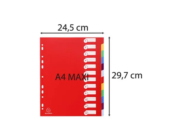 EXACOMPTA Intercalaires en plastique, uni, A4+, 12 touches — Classement & archivage — vue 4