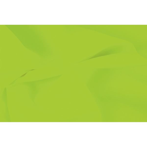 Paquet de 240 feuilles de papier de soie 75x50 cm Vert, N.C — COURRIER ET EXPEDITION