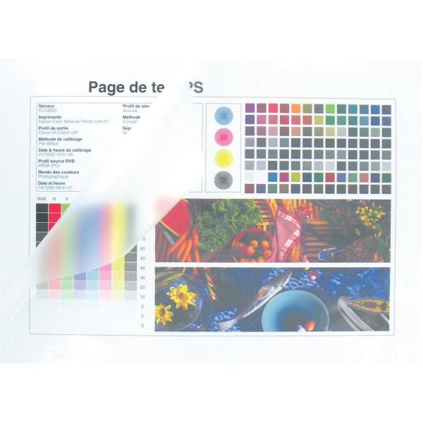 Boite de 100 pochettes à plastifier format 216x303 mm pour do, BUDGET — BUREAUTIQUE