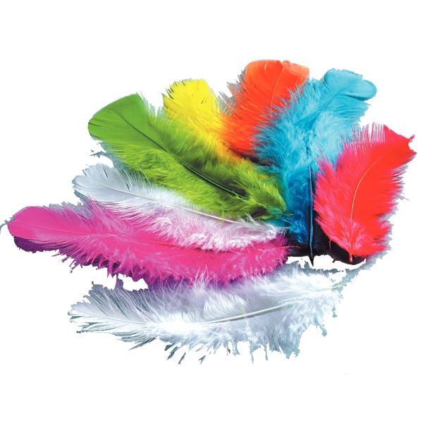 Sachet de 250 grammes de plumes de dinde assortis, GRAINE CREATIVE — TRAVAUX MANUELS