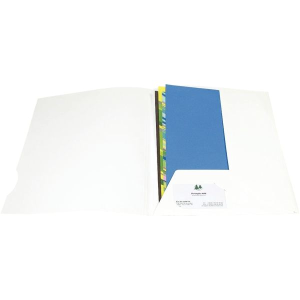 EXACOMPTA Chemise de présentation CHROMOLUX, A4, blanc — Chemises & trieurs