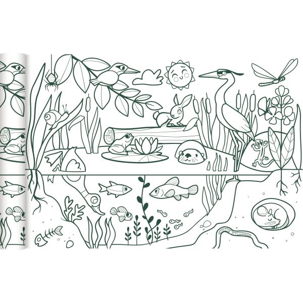 Rouleau fresque à colorier l'écosystème, My Mandarine — DESSIN SCOLAIRE ET PROFESSIONNEL