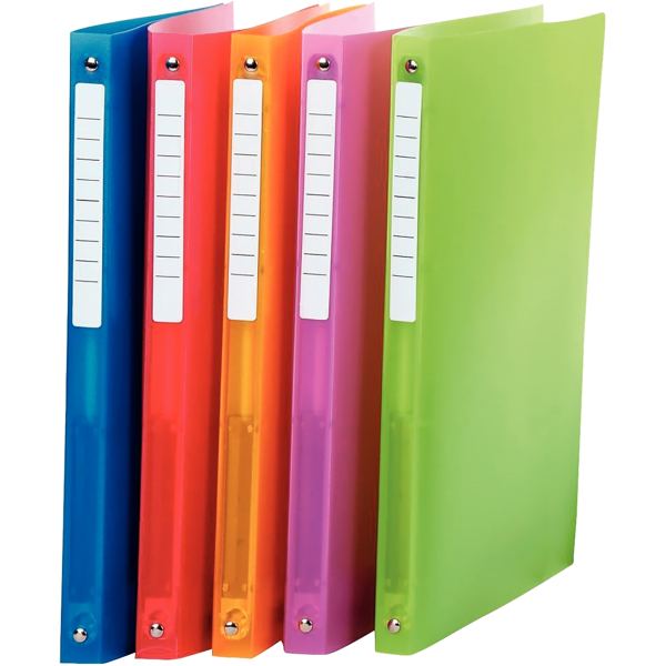 Classeur en polypropylène COLOR FRESH, format A4, dos 2 cm, — CLASSEMENT
