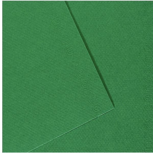 Paquet de 10 feuilles mi-teinte format 50x65 cm vert billard — DESSIN SCOLAIRE ET PROFESSIONNEL
