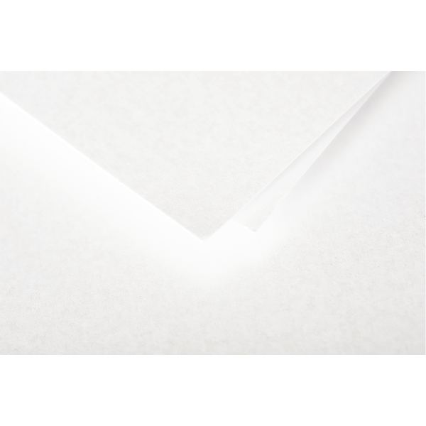Paquet de 20 enveloppes Pollen 165x165 mm 120g blanc irisé — COURRIER ET EXPEDITION