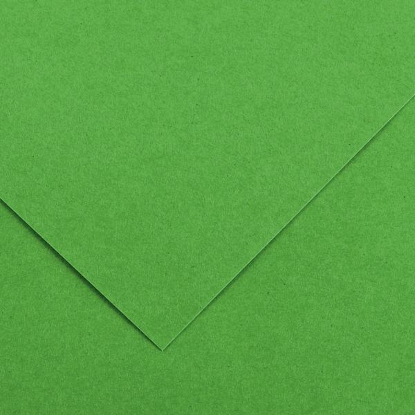 Paquet de 10 feuilles Colorline 50x65 cm 150 g vert franc — DESSIN SCOLAIRE ET PROFESSIONNEL