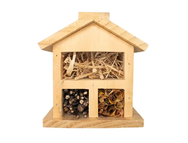 Kit hètel insectes + colle - 19 x 13 x 27 cm - 1 pc - 1 coloris — Non classé