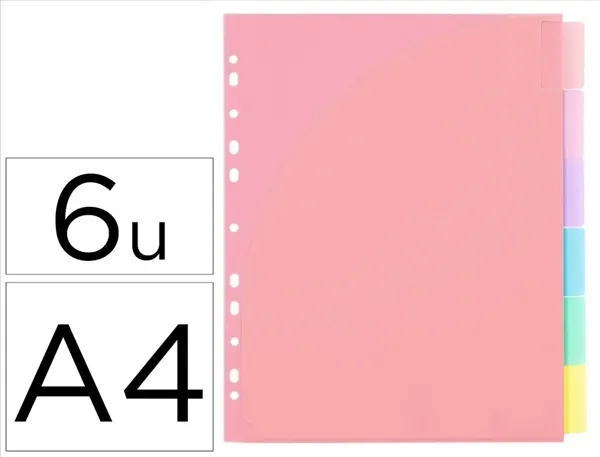 Intercalaires viquel rainbow pastel pp a4 maxi 6 positions 11 trous coloris assortis — Non classé