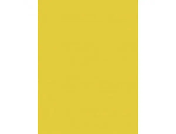 Papier affiche clairefontaine 60x80cm 90g coloris jaune d'or paquet 25 feuilles — Non classé