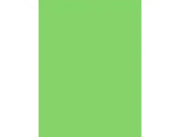 Papier affiche clairefontaine 60x80cm 90g coloris vert fonce paquet 25 feuilles — Non classé