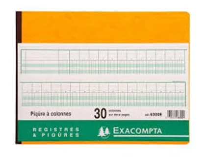EXACOMPTA Piqûre à colonnes, 30 colonnes, 31 lignes — Livres de comptes