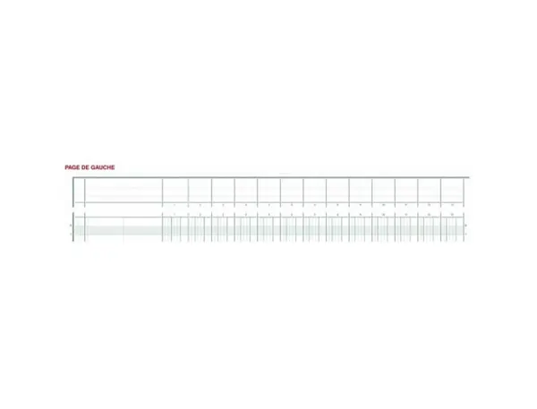 EXACOMPTA Piqûre tête paresseuse, 30 colonnes sur 2 pages — Papier, cahier & courrier