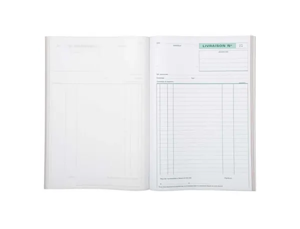 Manifold Autocopiant Exacompta Livraisons A4 210x297 mm Foliotage 50 Triplis — Papier, cahier & courrier — vue 5
