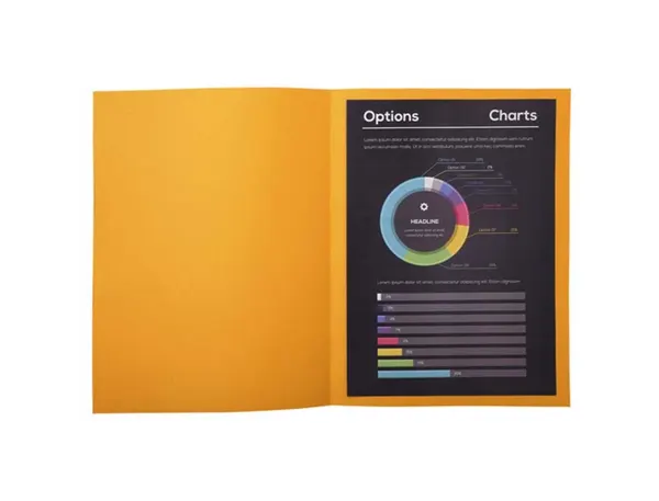 EXACOMPTA Chemises ROCK'S, A4, ocre — Classement & archivage — vue 5